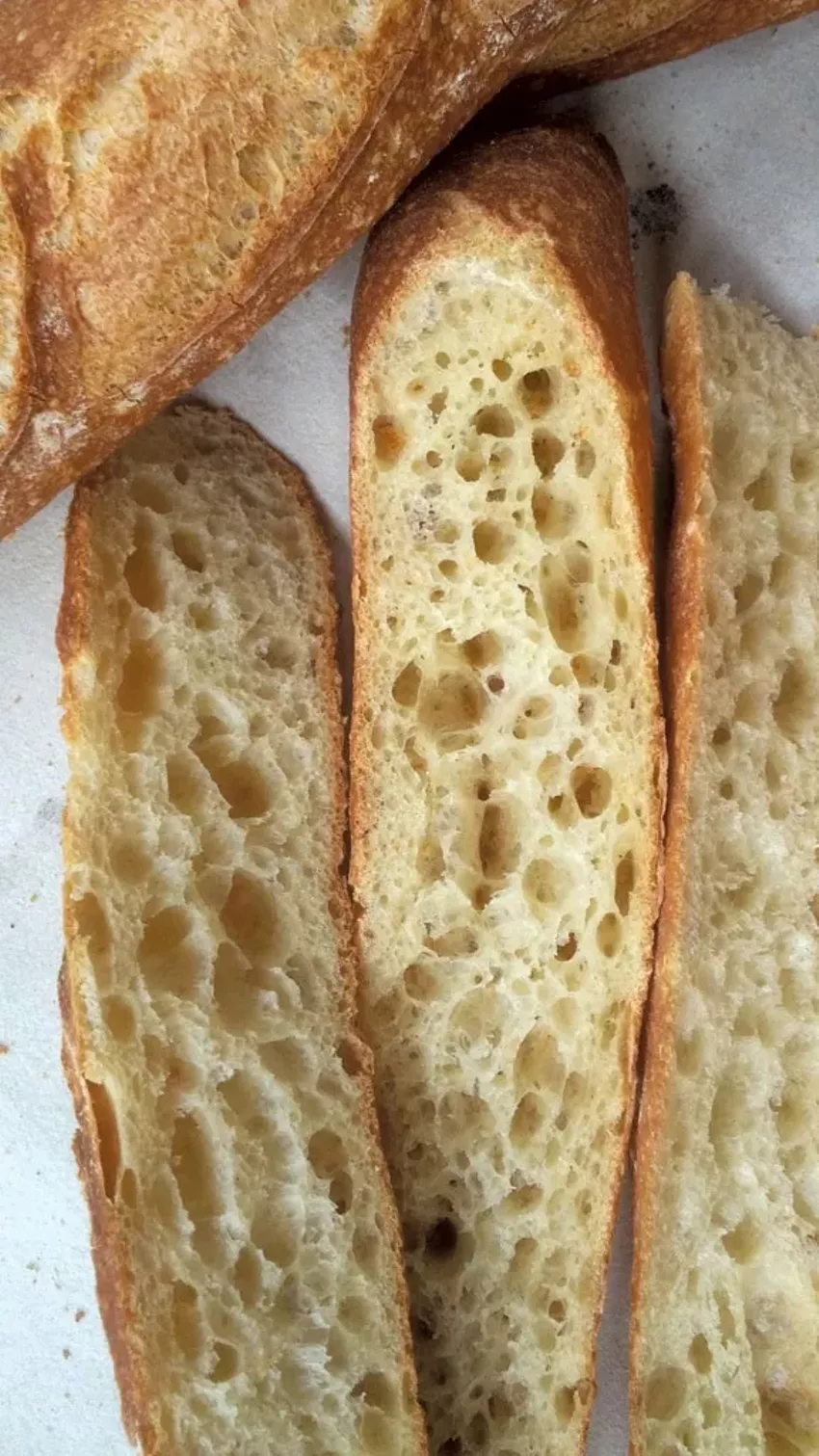 Best bread bakery
