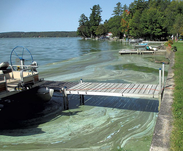 Blue-green algae on the shores of Lake Carmi in 2017 - FILE: COURTESY OF DICK BENTON