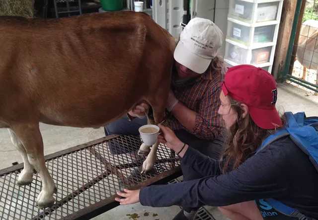 Seconds of Summer: Goat Appreciation at Green Mountain Girls Farm