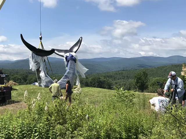 Whale Tails Return to Randolph