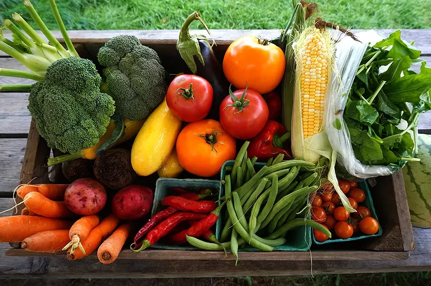 Best CSA