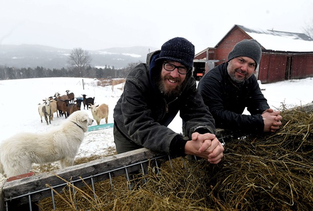 Joey Nagy (left) with farmworker Joe Thompson at Marble Hill Farm in Fayston - JEB WALLACE-BRODEUR