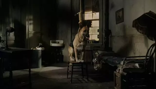 What I'm Watching: Won Ton Ton: The Dog Who Saved Hollywood