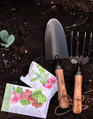 Seeds Deemed 'Essential' as Vermonters Plan Gardens During COVID-19