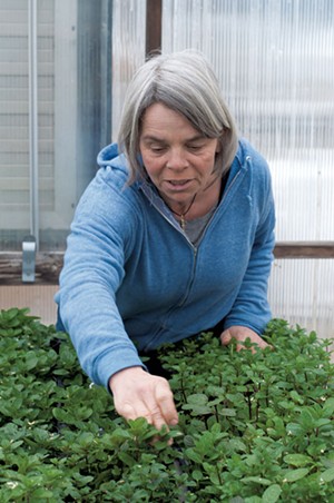 Julie Rubaud, owner of Red Wagon Plants - FILE: HANNAH PALMER EGAN