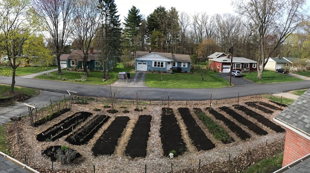 Ethan Joseph and Jessica DeBiasio's front-yard garden in spring - COURTESY OF ETHAN JOSEPH