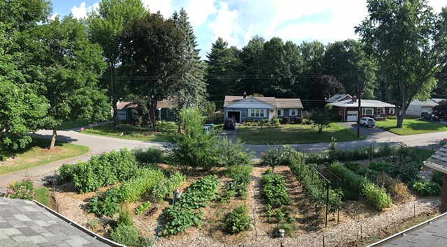 Ethan Joseph and Jessica DeBiasio's front-yard garden in bloom - COURTESY OF ETHAN JOSEPH