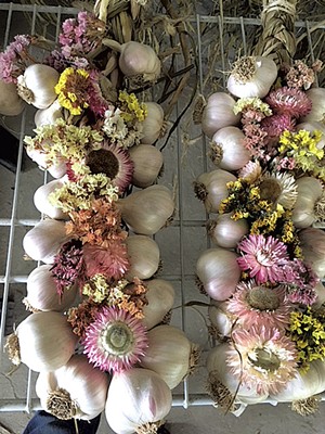 Garlic braids from Last Resort Farm - COURTESY OF OPEN FARM WEEK