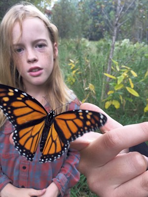 Pacem student Ripley Boyden tagging a monarch butterfly - COURTESY OF THETFORD ELEMENTARY SCHOOL