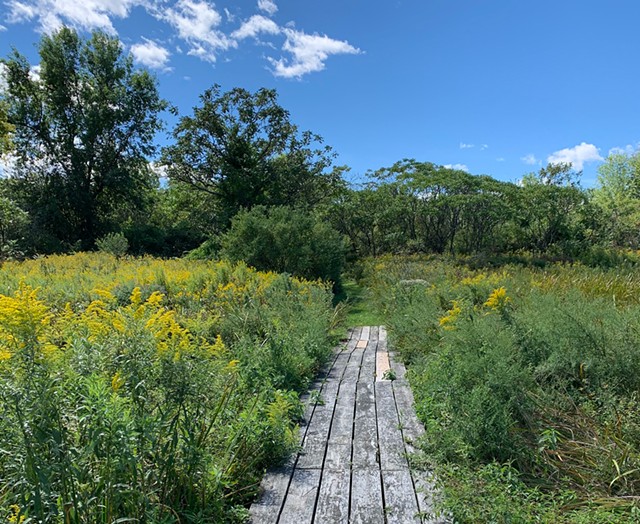 The Island Farm Nature Trail at Burton Island State Park - DAN BOLLES ©️ SEVEN DAYS