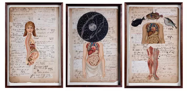Vermont Artist Peter Thomashow Goes Outside