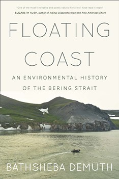 'Floating Coast' by Bathsheba Demuth - COURTESY OF THE GUND INSTITUTE