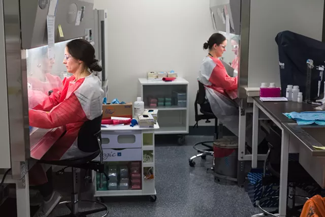 Vermont's COVID-19 Infections Reach New Highs in Recent Days