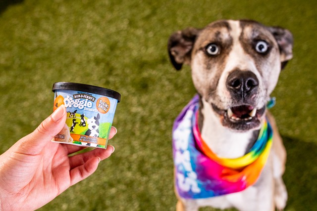 Rosie and the new Ben & Jerry's dog dessert named after her - COURTESY BEN & JERRY'S