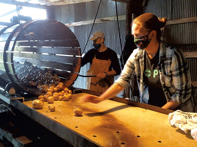 Farmer Mark Cannella (rear) and volunteer Rebecca Mead washing Valentine Farm potatoes in 2020 - COURTESY COMMUNITY HARVEST OF CENTRAL VERMONT