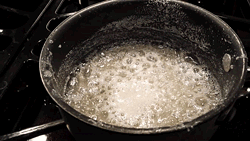 Boiling syrup - MELISSA HASKIN