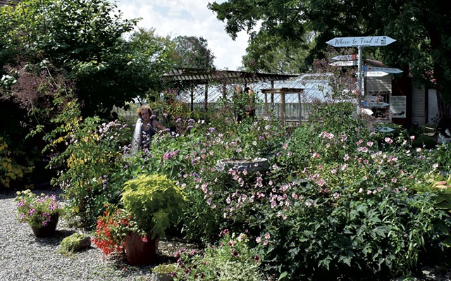 Eileen Schilling watering plants at Horsford Gardens &amp; Nursery - COURTESY OF HORSFORD GARDENS & NURSERY