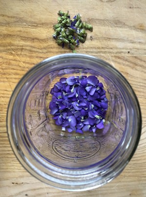Separating violet petals from the calyxes - JORDAN BARRY ©️ SEVEN DAYS