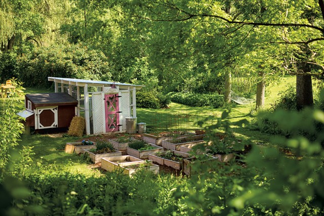 Deb Kehoe's backyard coop in Charlotte - BEAR CIERI
