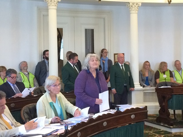Sen. Ginny Lyons briefs the Senate on a bill with provisions authorizing consideration of the purchase of hydropower dams on the Connecticut and Deerfield rivers. - NANCY REMSEN