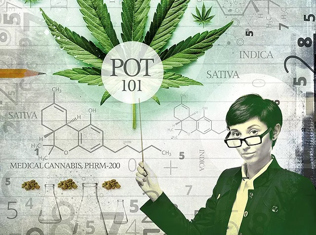 UVM Launches Cannabis Speaker Series Online