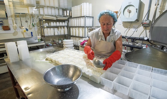Laini Fondiller of Lazy Lady Farm making goat cheese - JEB WALLACE-BRODEUR