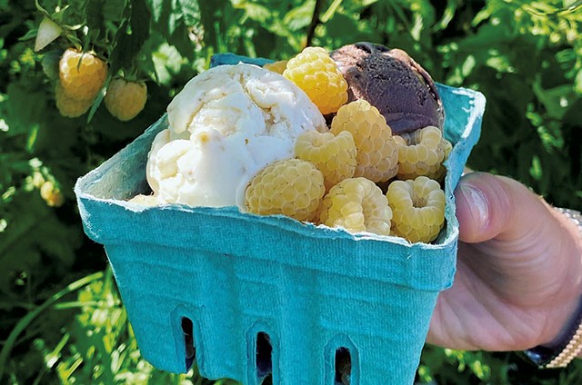 Scoops of Chaste Anne and Dirty Ann ice cream with yellow Anne raspberries - COURTESY