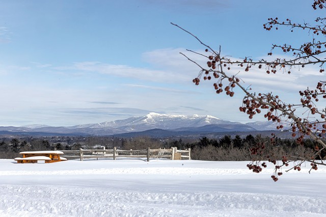 Mount Mansfield seen from Old Farm Road, near the site where more housing units are planned for O'Brien Farm - JAMES BUCK