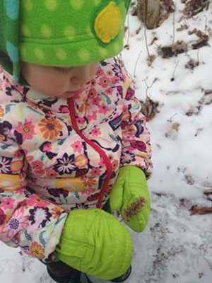 Elise checks out a flower on the side of the trail - SARAH GALBRAITH