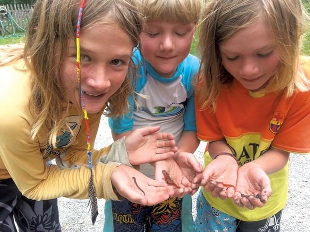 Challenge participants show off small creatures - COURTESY OF VERMONT STATE PARKS