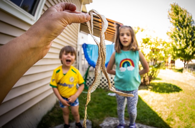 3-year-old Bo and 7-year-old Remy check out a snakeskin - CAT CUTILLO