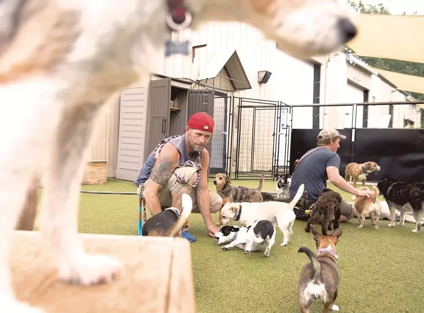 Best pet daycare