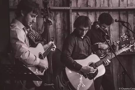 Best bluegrass artist or group