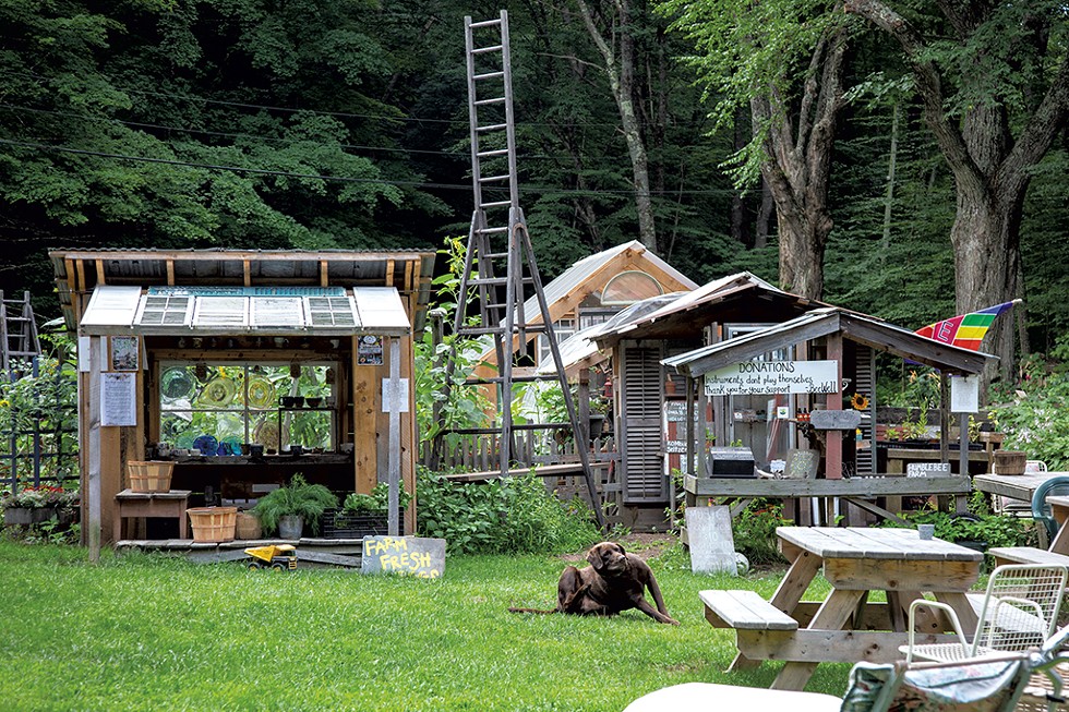 Bee Well Homestead in Jamaica - KEVIN BARRY