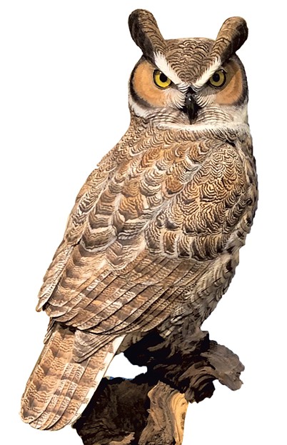 Owl carved by Floyd Scholz - COURTESY
