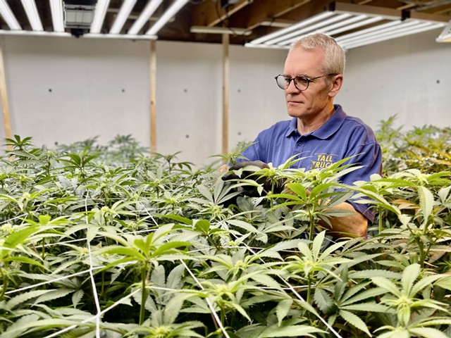 Devon Deyhle tending his cannabis plants - COURTESY OF RAFAEL QUIROGA