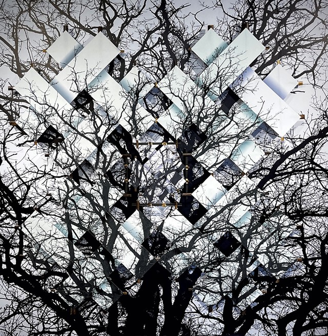 "Kite in a Tree" - COURTESY