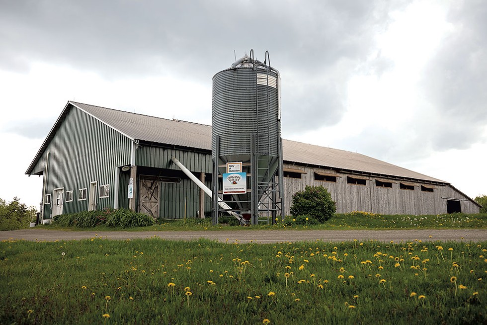 Corse Farm Dairy in Whitingham - ZACHARY P. STEPHENS
