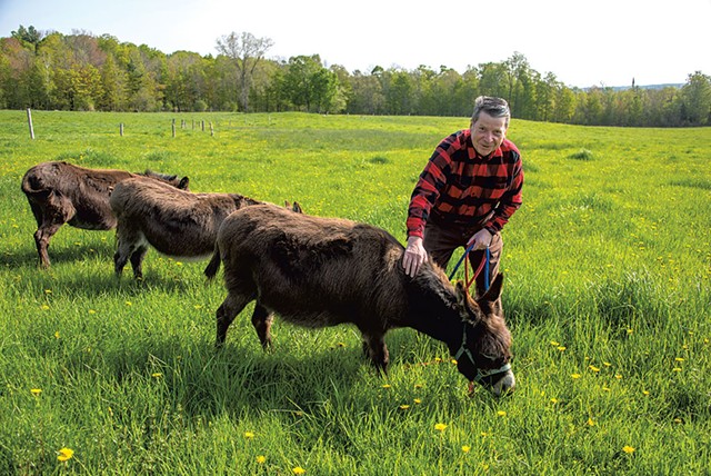 Anson Tebbetts with his miniature donkeys - JEB WALLACE-BRODEUR