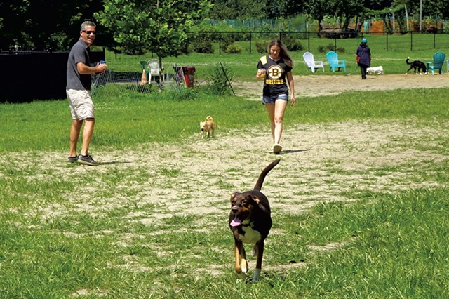 Dogs and their owners at a Burlington dog park - RACHEL MULLIS