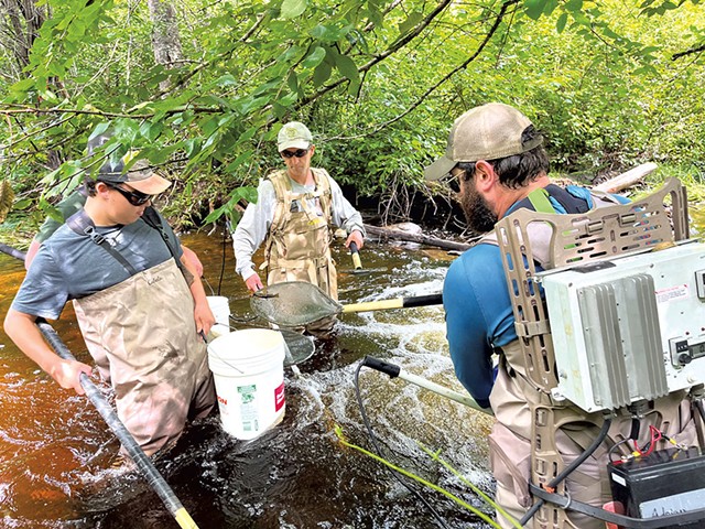 Left to right: Luke Holland, Jud Kratzer and Levi Brown with electrofishing gear - KATIE FUTTERMAN