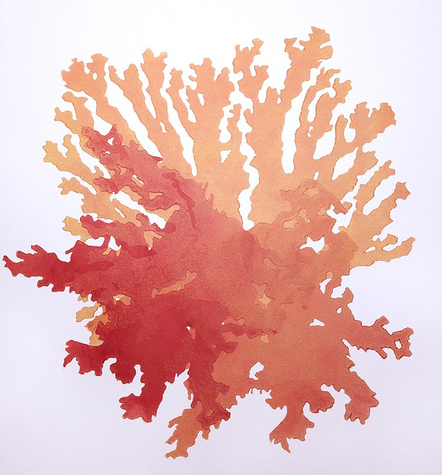 "Algae 3," woodblock monoprint by Elise Whittemore - ELISE WHITTEMORE