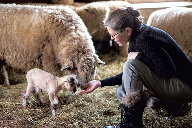 Baby Farm Animal Celebration - COURTESY