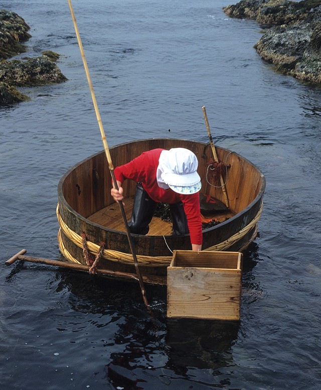 A traditional Japanese tub boat from Sado Island - COURTESY OF DOUGLAS BROOKS