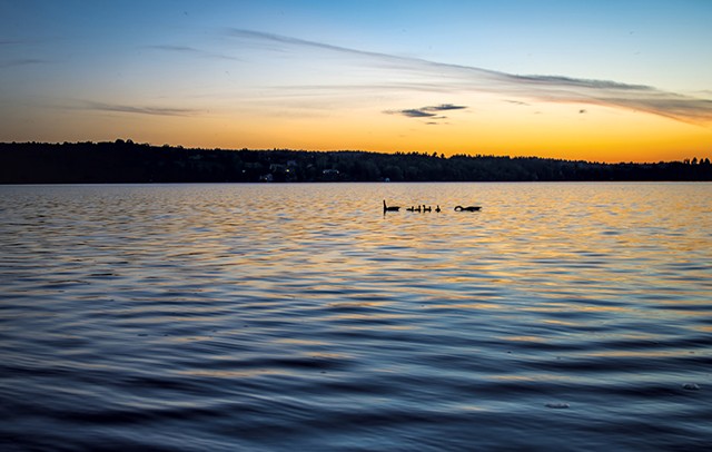 A family of ducks at sunset on Caspian Lake - FILE: SALLY POLLAK