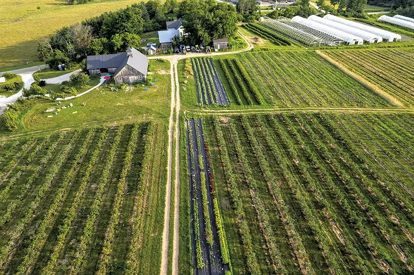 Best pick-your-own farm