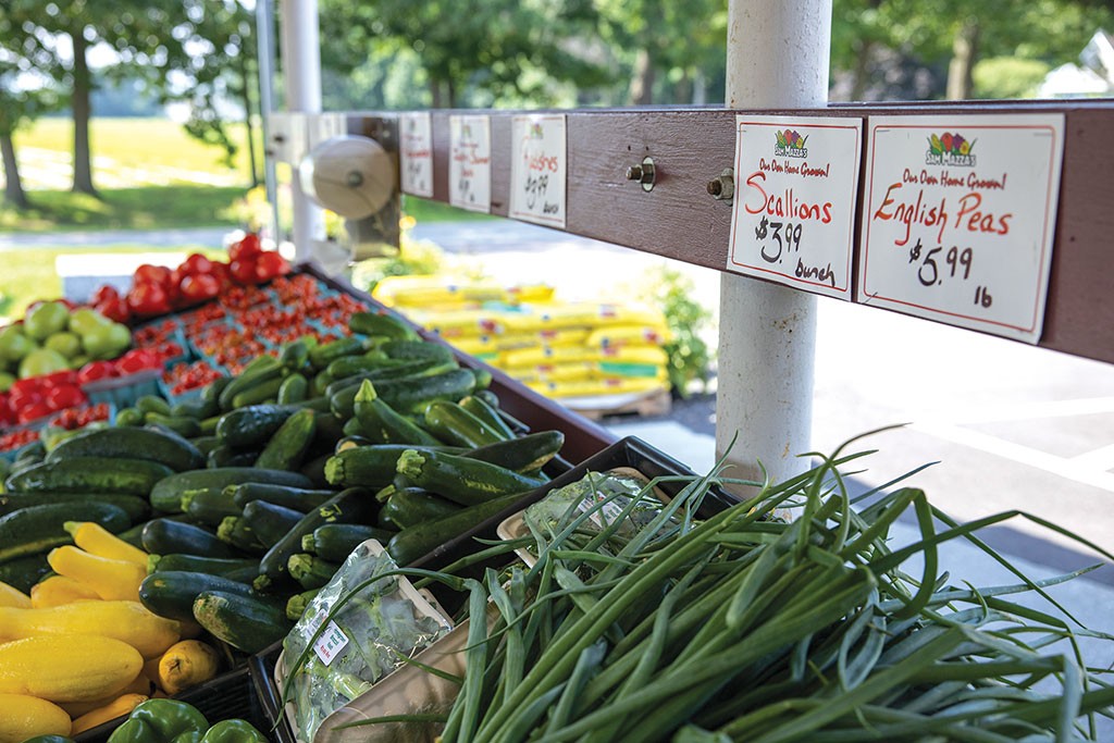 Sam Mazza's Farm Market, Bakery and Greenhouses - JAMES BUCK