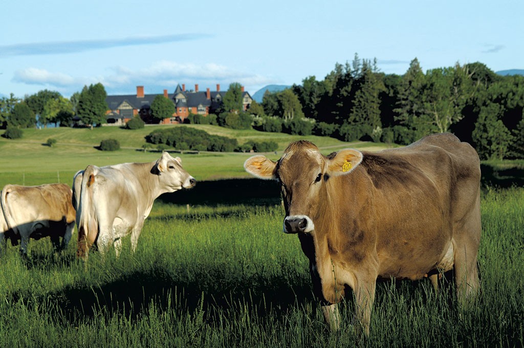 Shelburne Farms - COURTESY OF MARSHALL WEBB