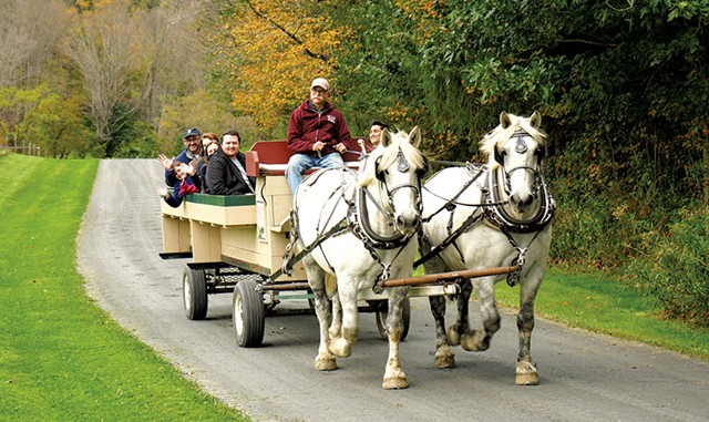 Horse-drawn wagon rides at Harvest Celebration - COURTESY