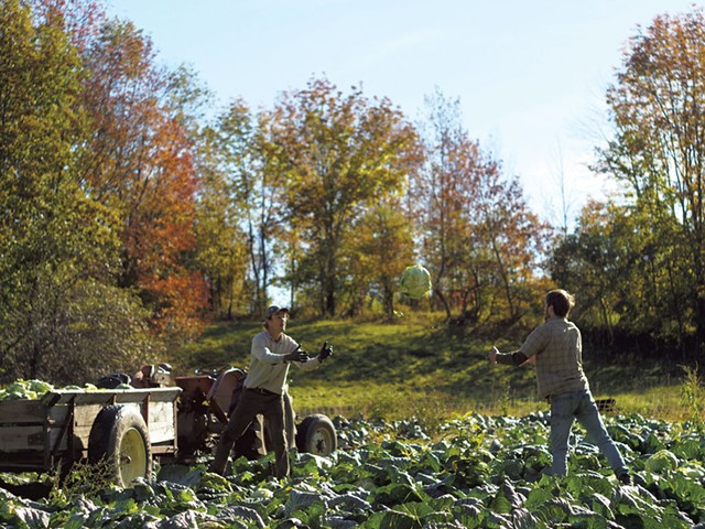 Zach Brandau and Karl Lucas tossing cabbages during a harvest - COURTESY